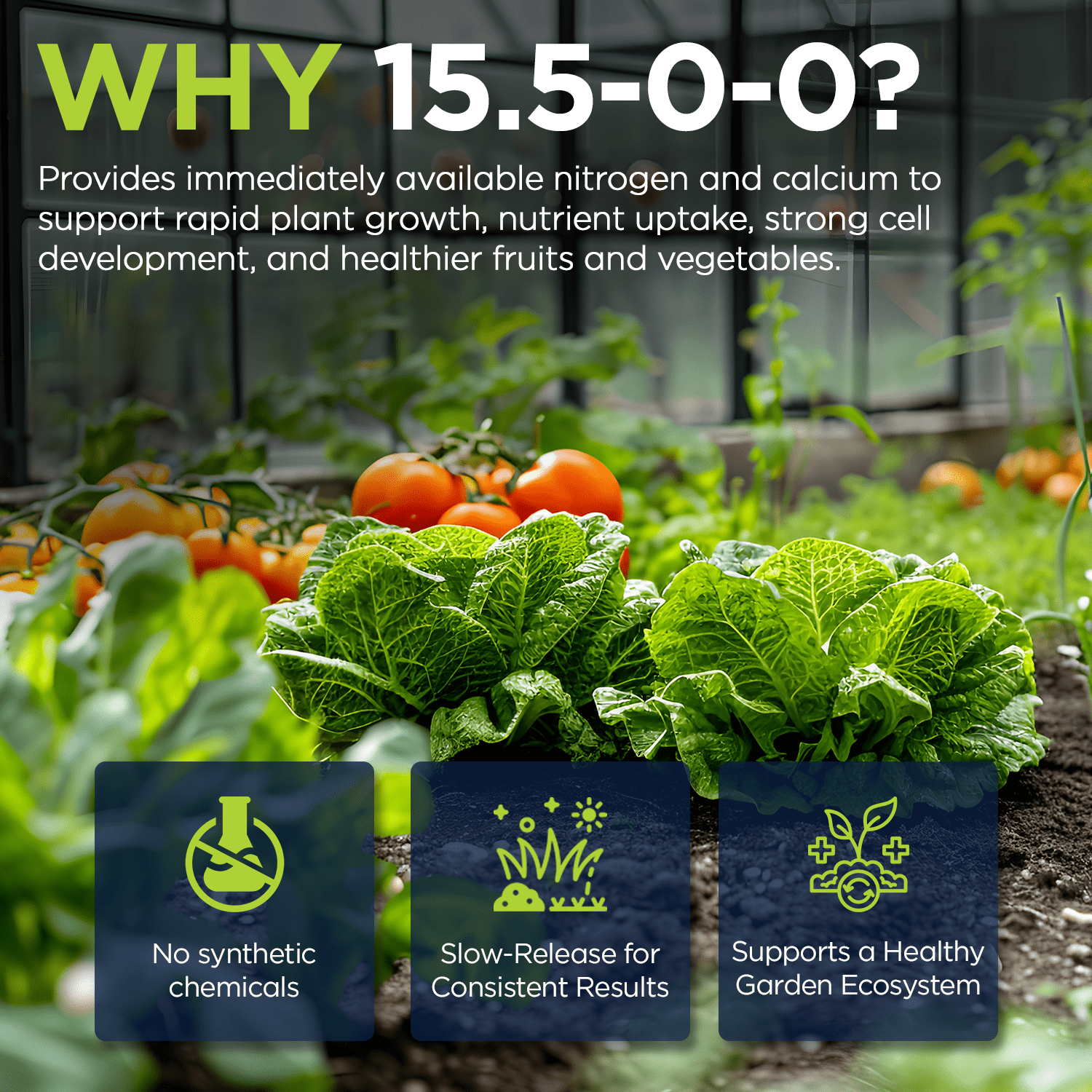 Supply Solutions Calcium Nitrate 15.5-0-0 + 19% Ca | Fast-Acting Water Soluble Fertilizer Prevents Blossom End Rot - Boosts Growth & Yield for Vegetables, Fruit, Gardens & Hydroponics (25 Pounds)