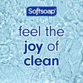 thumbnail image 3 of Softsoap Body Wash, Coconut Butter Scrub , Exfoliating Body Wash, 20 Ounce, 4 Pack, 3 of 9