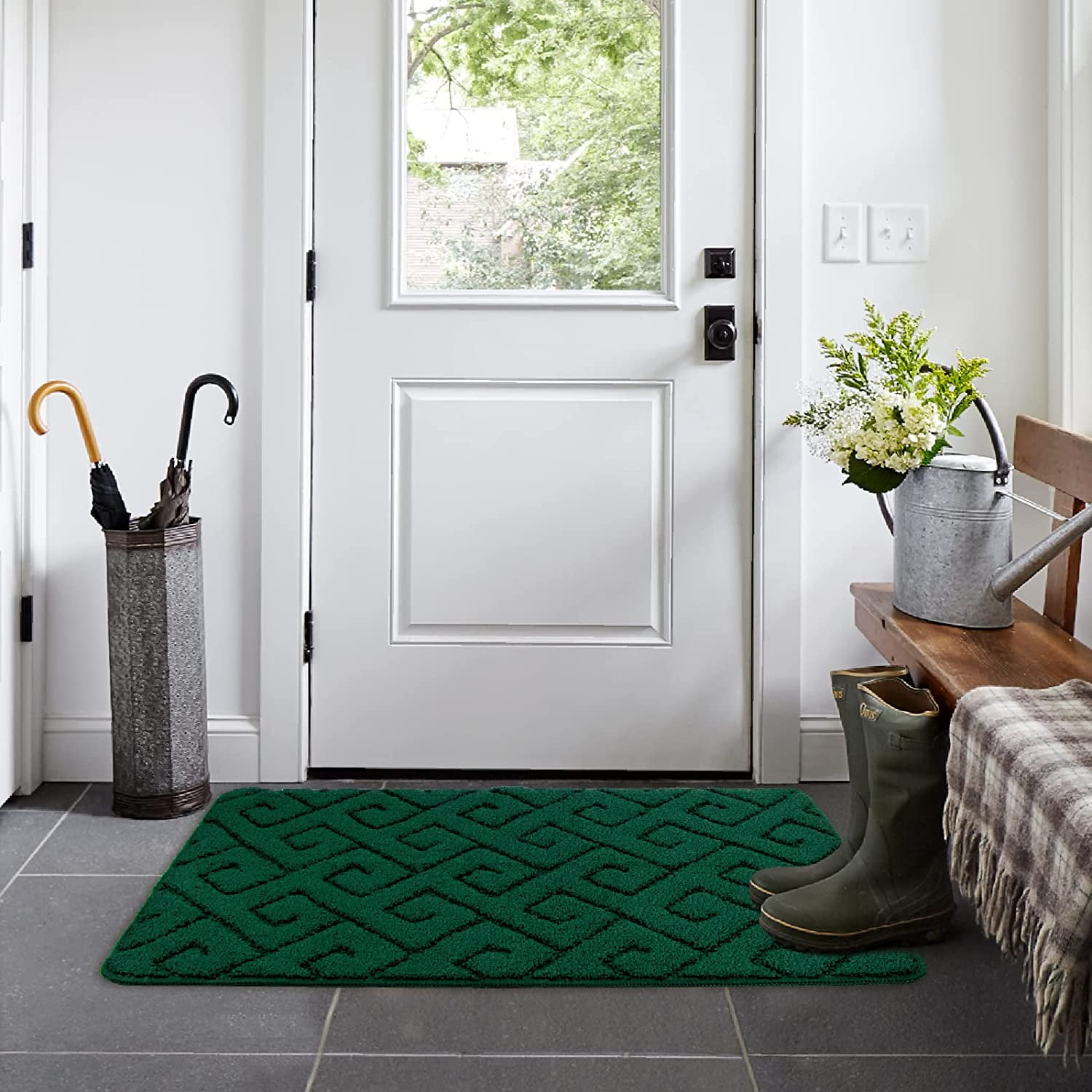 Walensee Indoor Doormat, Front Door Mat for Entrance, 24"x35" Green