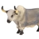 thumbnail image 3 of Juguete de figuritas de animales Juguete de plástico para niños, modelo de animal Bos Grunniens Fanmusic Juguete de figuritas de animales, 3 of 7
