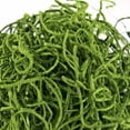 thumbnail image 5 of ProFlora Spanish Moss True Green, 16oz Floral Arranging Supplies, 5 of 6