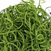 ProFlora Preserved Spanish Moss, True Green, 150 Cu in 12.75, and 8.75
