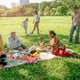 thumbnail image 4 of Bolsa Picnic Camping Almuerzo Cremalleras Dobles Enfriador Suave para Acampar Rojo, 4 of 4