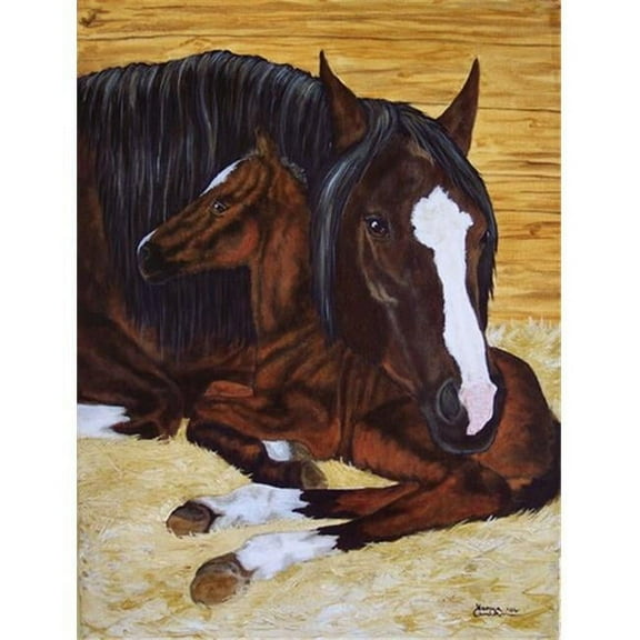 Bay Mare Foal Horse Flag Canvas House Size