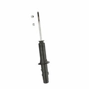 Suspension Strut Fits select: 1992-1997 HONDA CIVIC, 1994-1996 ACURA INTEGRA LS