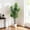 7ft, variant on Accreate Artificial Fiddle Leaf Fig Tree with Planter – Realistic Faux Plant for Indoor & Outdoor Decor in Home, Office, Living Room