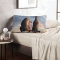 thumbnail image 6 of Pofeuu Elephant Giraffe On A Mountain Top Sunset Print Polyester Microfiber Plush Pillowcases, Super Soft and Cozy Pillow Case Covers with Envelop Closure（Pillow core not included）-20"x30", 6 of 6