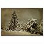 Trademark Fine Art "Winters Wrath" Canvas Art by Lois Bryan