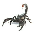 thumbnail image 2 of Deyuer 3D Spider Lizard Scorpion Car Sticker Vehicle Window Mirror Bumper Decal Decor, 2 of 8