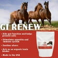 thumbnail image 2 of Pennwoods GI Renew Horse Supplement, 2 of 6