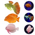 thumbnail image 4 of 3Pcs Simulated Tropical Fish Adornment Fish Tank Landscaping Luminous Fish Decor, 4 of 5
