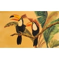 thumbnail image 2 of Baliko, Linda 32x22 White Modern Wood Framed Museum Art Print Titled - Toucans I, 2 of 4