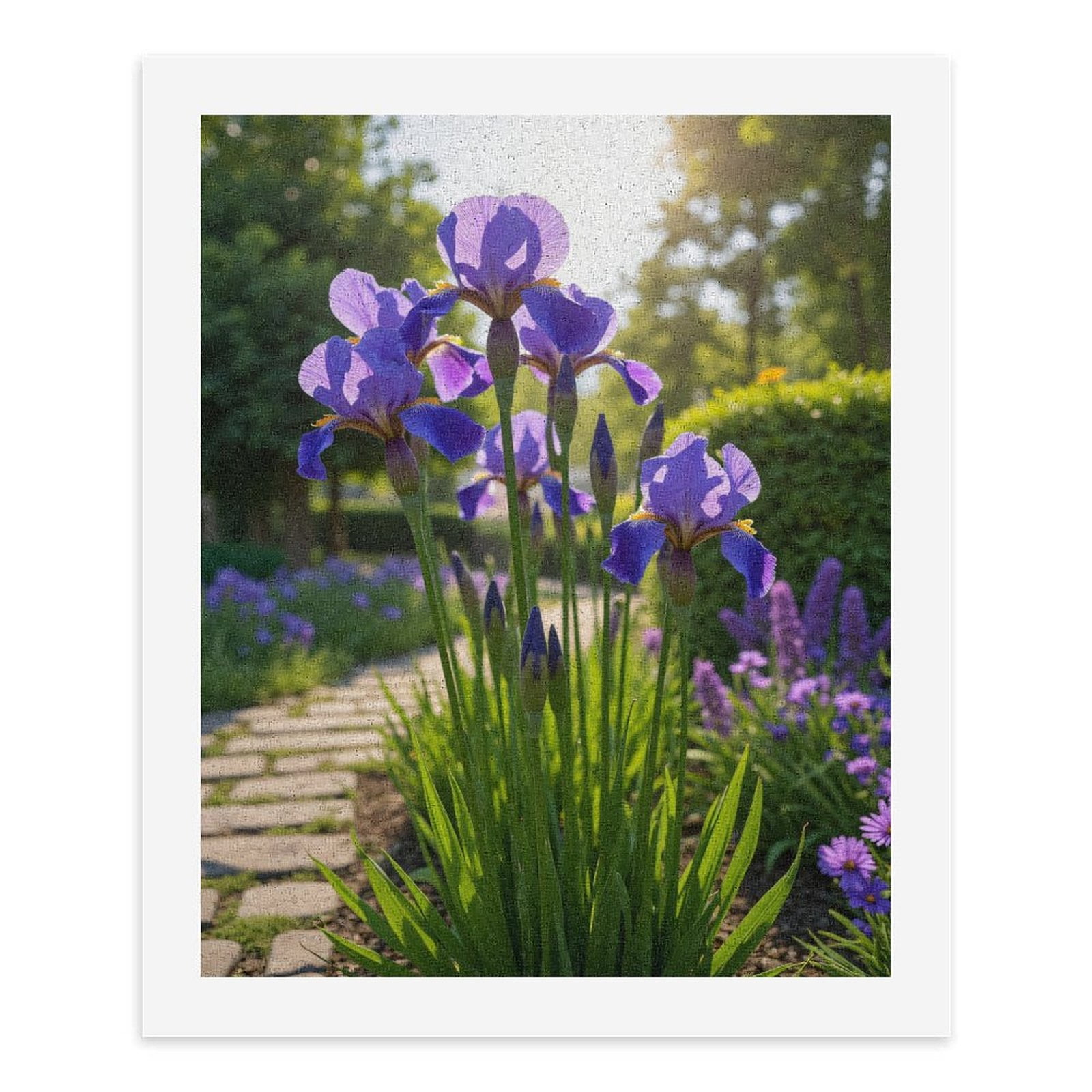 Paint by Numbers Kit for Adults, Blooming Purple Iris Garden Path Paint by Numbers, Easy Paint by Numbers Kit for Adults Beginner, DIY Adult Paint by Number Kits on Canvas, 12x16in Home Decor