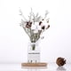 thumbnail image 2 of 1 juego de flores secas, jarrón de cristal decorativo para jardín de primavera transparente Flor de cinta blanca, 2 of 8