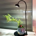 Tnobhg Micro Landscape Plant Growth Lamp with Timmer Height Adjustable