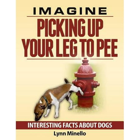 Imagine Lifting Up Your Leg to Pee - Interesting Facts About Dogs - (Best Way To Clean Up Cat Pee)