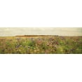 thumbnail image 2 of Melious, Amy 24x11 Gold Ornate Wood Framed with Double Matting Museum Art Print Titled - Wildflower Field II, 2 of 4