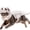 White, variant on 2026 Dino Skeleton Plush, Dinosaur Skeleton Plush Costume for Dogs and Cats