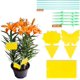 thumbnail image 1 of 30 piezas de trampas para insectos, trampas adhesivas, pegatinas de pegamento de doble cara, impermeables, atrapamoscas amarillas, áfidos blancos para plantas de jardín, flores, frutas (3 formas), 1 of 4