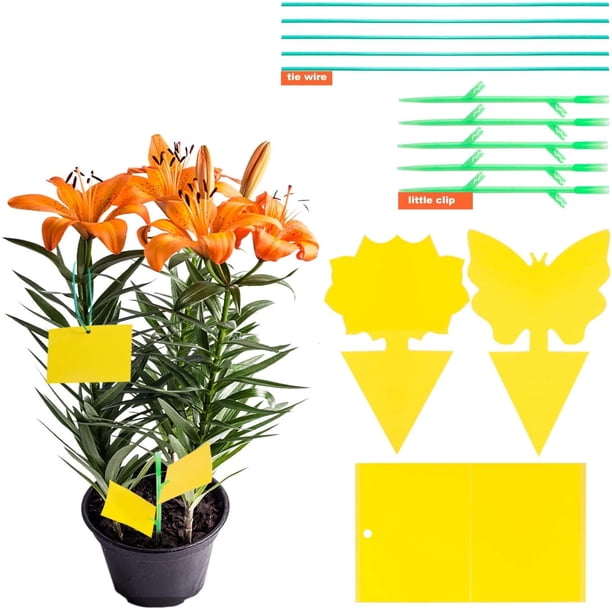 30 piezas de trampas para insectos, trampas adhesivas, pegatinas de pegamento de doble cara, impermeables, atrapamoscas amarillas, áfidos blancos para plantas de jardín, flores, frutas (3 formas)