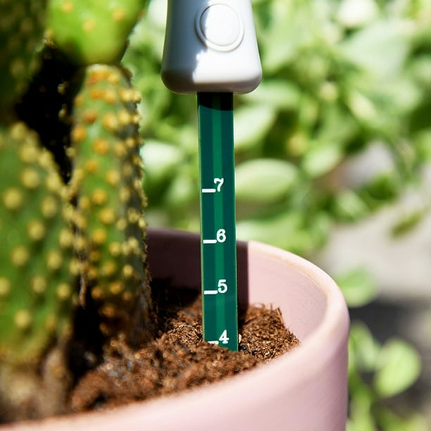 Capteur d'humidité pour plantes
