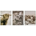 thumbnail image 6 of American Art Decor Highland Cow 11" x 14" 3-Piece Print Set, 6 of 7