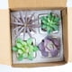 thumbnail image 5 of Matsuzay 4 unids/set de plantas artificiales para interiores en macetas, dedos verdes fáciles de hacer, pequeñas plantas artificiales en Decoración, 5 of 6