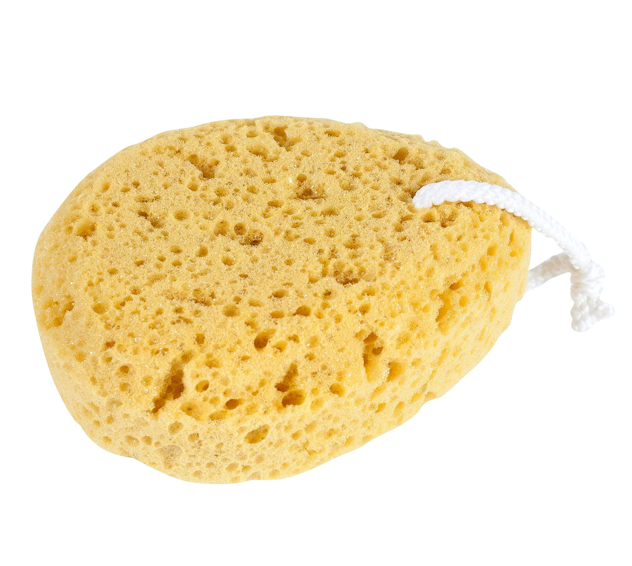 Jacent Deep Cleaning Sea Foam Bath and Body Sponge, 1Pack Walmart