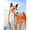 Red, variant on Carolines Treasures  Red Basenji House Size Canvas Flag - 28 x 40 in.