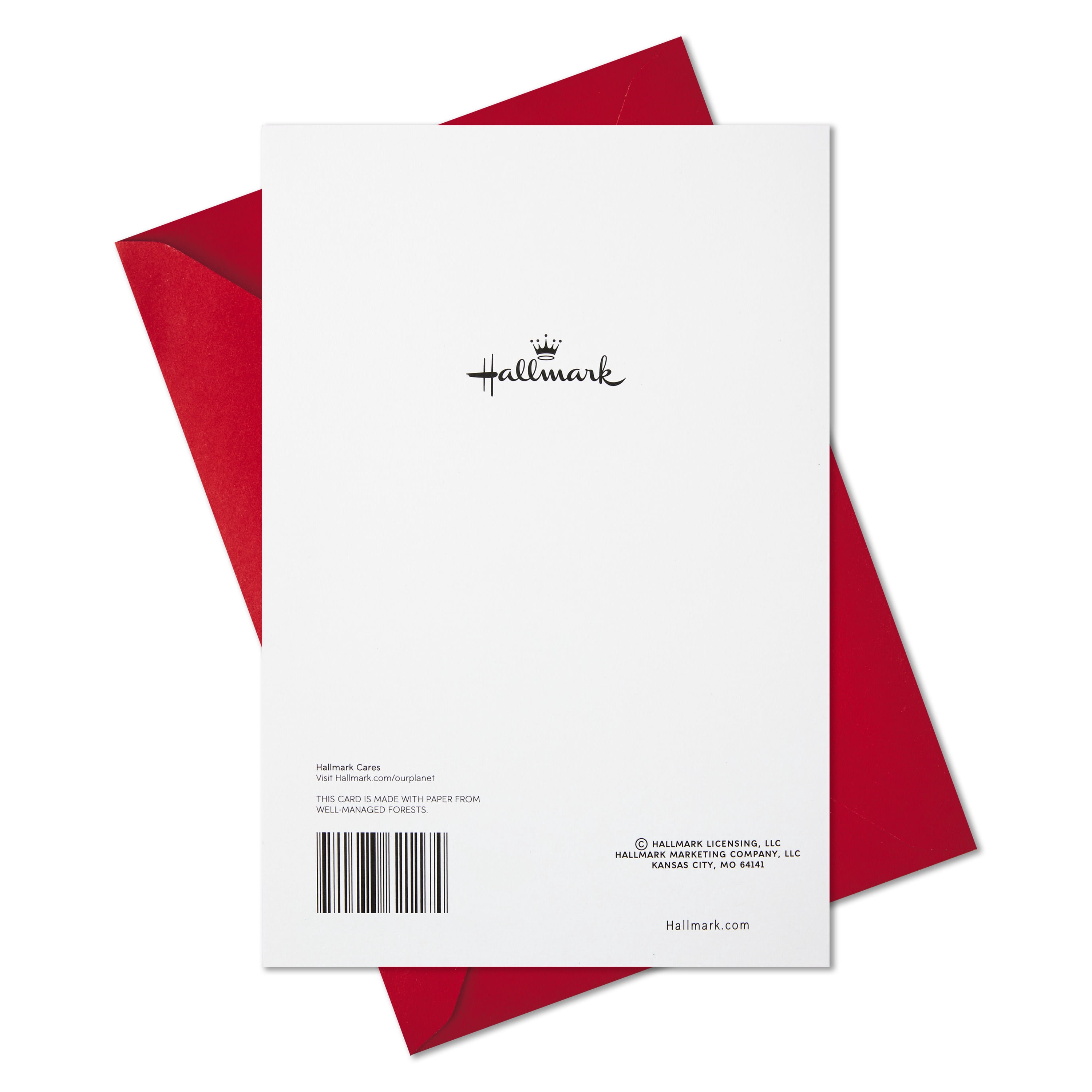 Hallmark Christmas Greeting Card for Daughter and Son-in-Law (I'm So Blessed to Have You)