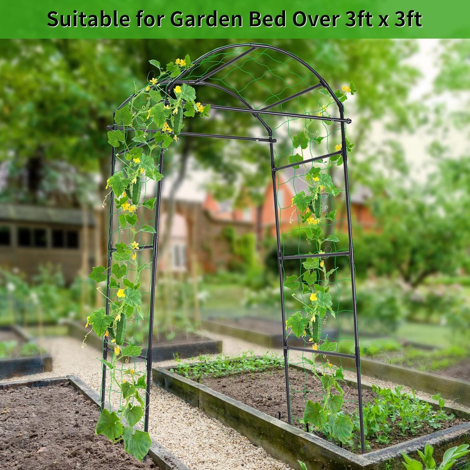 Cucumber Trellis, 6.7ft Tall Garden Arch for Climbing Plants Outdoor  Support Vine Vegetable Tomato Bean Pea Grape Squash Pumpkin Raised Bed Lightweight Black