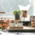 thumbnail image 5 of 2.5 Inch Mini White Succulent Planter Pots with Bamboo Tray Round Set of 6, Tiny Ceramic Succulent Air Plant Flower Pots Cactus Faux Plants Containers, Gifts for Plant Lover, Home and Office Decor, 5 of 5