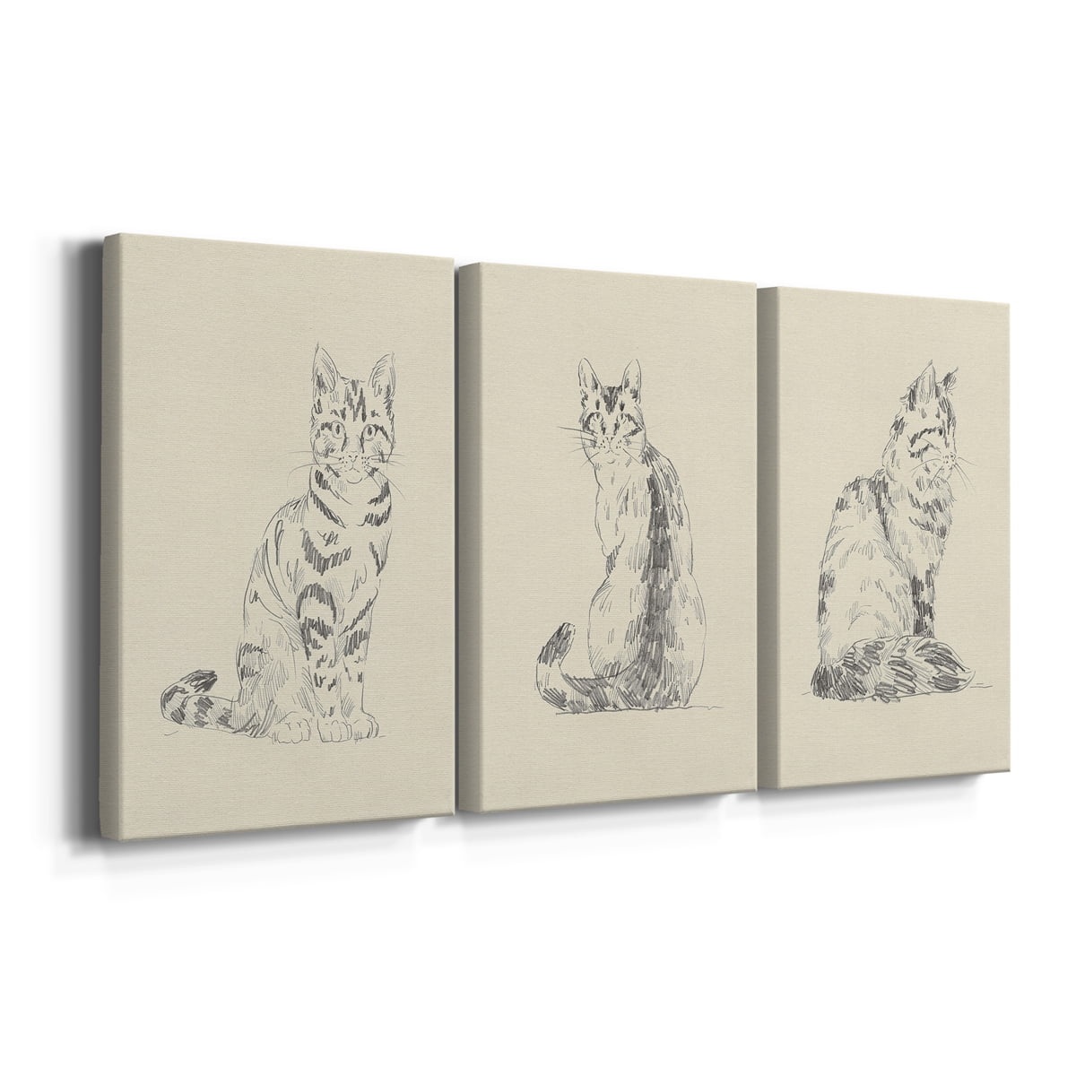 House Cat IV Premium Gallery Wrapped Canvas - Ready to Hang - 18 x 27 Each