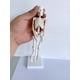 thumbnail image 3 of Mini esqueleto de juguete JAMW Modelo de esqueleto pequeño con calavera desmontable Sencillez, 3 of 5