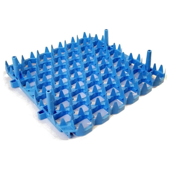Universal Chicken Egg Trays (6 pack)