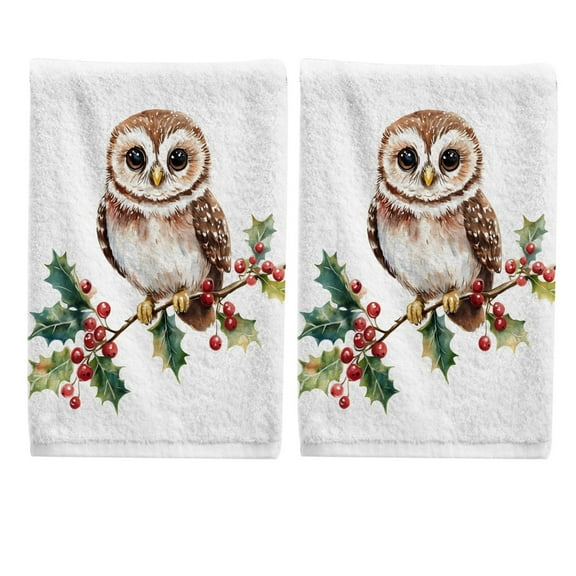 Ryvnso Watercolor Owl Hand Towels Set for Bathroom Cotton Face Towel Decorative 15.5x29.5 inch