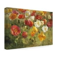 thumbnail image 4 of Danhui Nai 'Poppy Field Painting' Canvas Art, 4 of 4