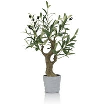 Small Artificial Olive Bonsai Tree Decor 20.5'' Tall Faux Olive Tree Potted Plant Desk Display with Bonsai Pot Decorative Greenery Realistic Wood for Home Office Countertop Kitchen Table Decor