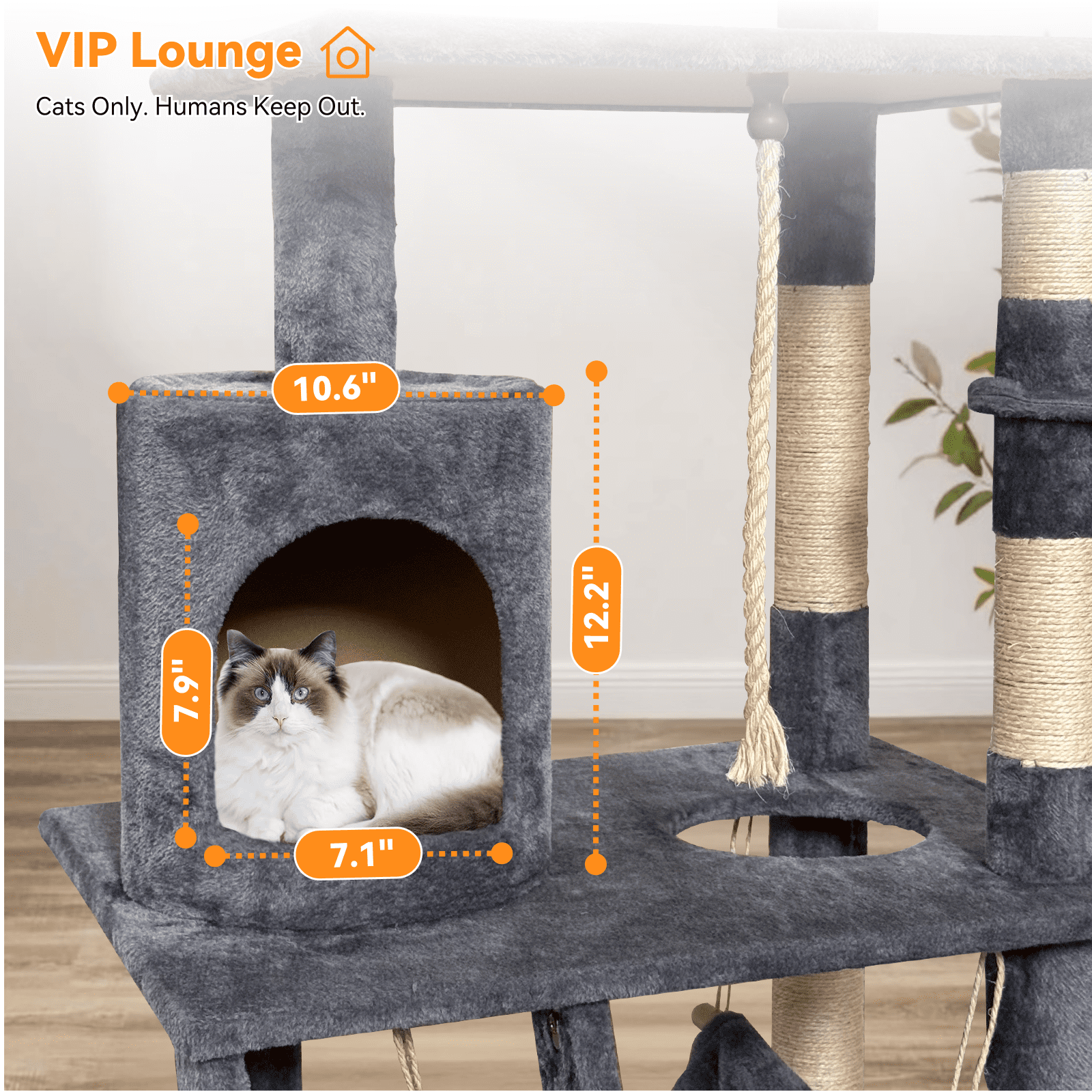 Baohe Indoor Cat Tower 62-Inch Modern Cat Tree with Widened Perch, Ideal for Big Cats & Kittens. Multi-Level Design with Scratching Posts, Tunnel, Basket & Cave Condo