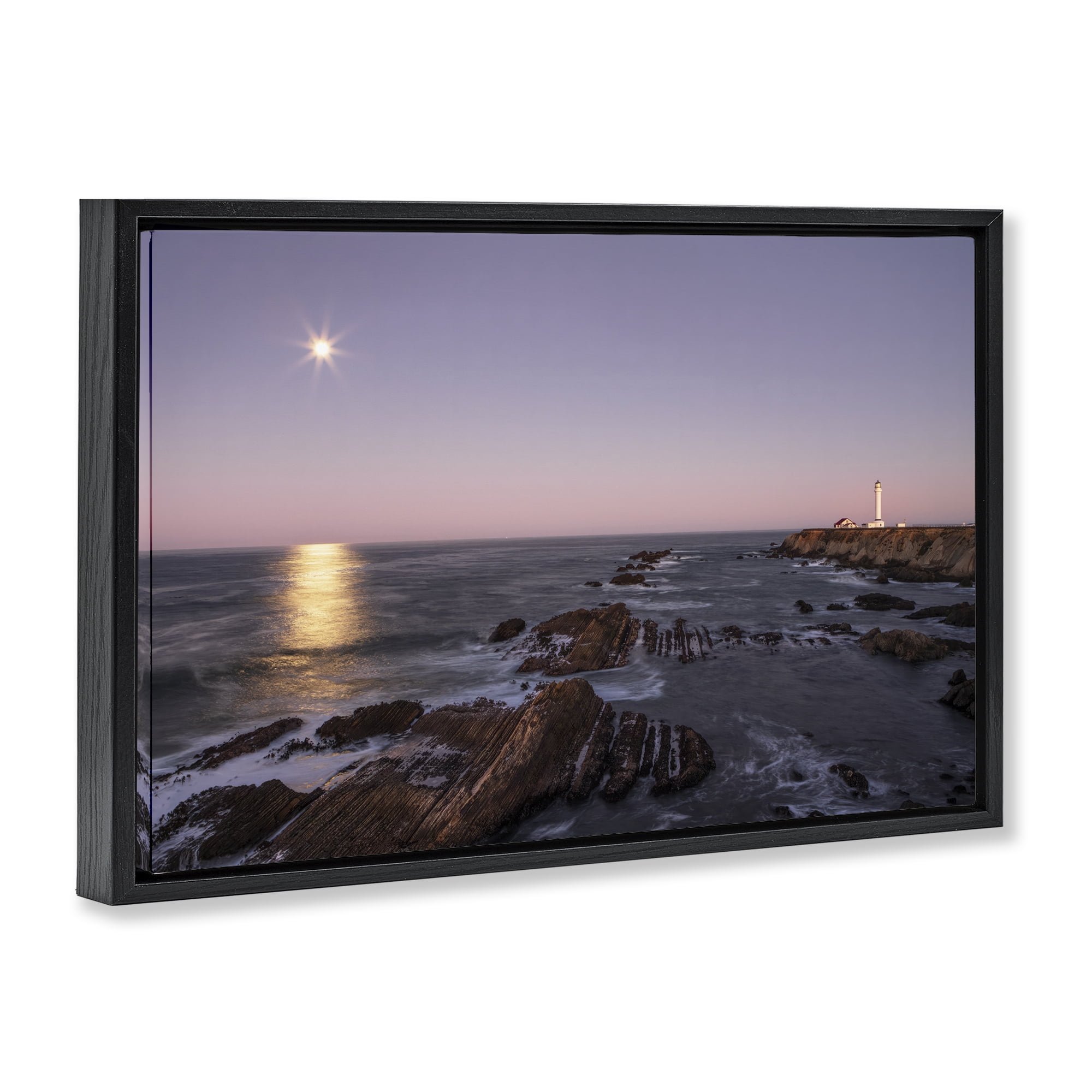 Stupell Industries Moon Arena Coastline Black Framed Floater Canvas Wall Art, design by Shelley Carlisle