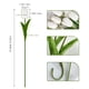 thumbnail image 2 of Flores artificiales Nature's Imic White Tulipanes x20, 2 of 7