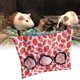 thumbnail image 5 of Alimentador de conejos, bolsas de colgantes, superficie impermeable, ligera, fácil de limpiar con 2 hebillas de Metal, práctico saco de tela Fresa Talla L Gloria Comedero de heno para conejos, 5 of 9