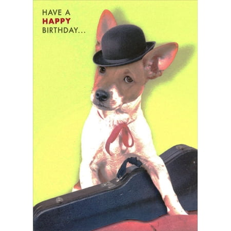 Designer Greetings Gangster Dog with Derby Hat and Black Case Funny / Humorous Birthday Card