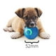 thumbnail image 3 of Fiudx Pelota Vibradora para Perros, Juguete Interactivo con Movimiento Automático, Luz Led para Jugar de Noche, Ideal para Aventuras Al Aire Libre, Diversión En Interiores y Ejercicio, Diseño Apto pa, 3 of 6