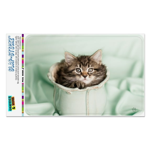 Manx Kitten Cat Vase Home Business Office Sign