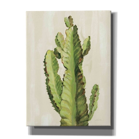 Epic Graffiti 'Front Yard Cactus II' by Silvia Vassileva, Canvas Wall Art, 40"x54"