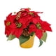 thumbnail image 4 of Nochebuena roja,Decoración navideña de planta de flor de pascua artificial navideña,Flor artificial de planta de flor de pascua roja en maceta,Decoración De Chimenea De Oficina De Centro De, 4 of 9