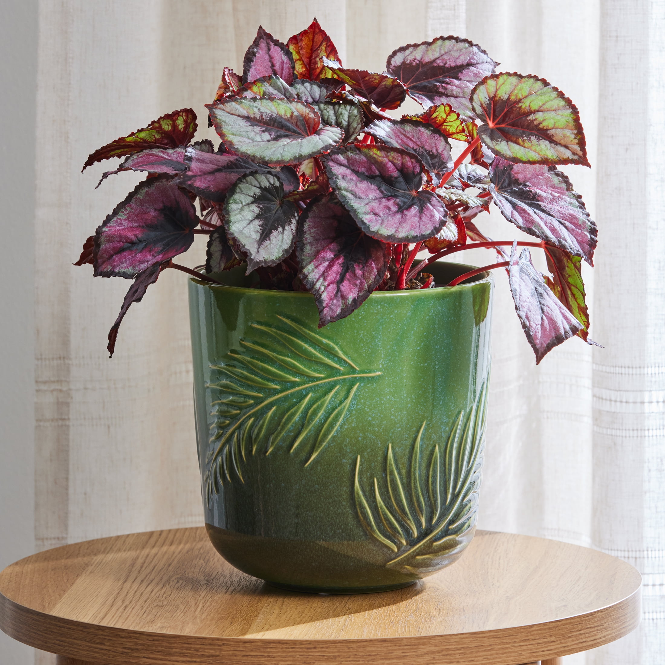 Better Homes & Gardens 8-Inch Ceramic Planter with Botanical Design