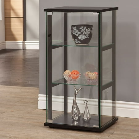 Secretary Curio - Coaster Company Glass Curio and Simple Black Frame