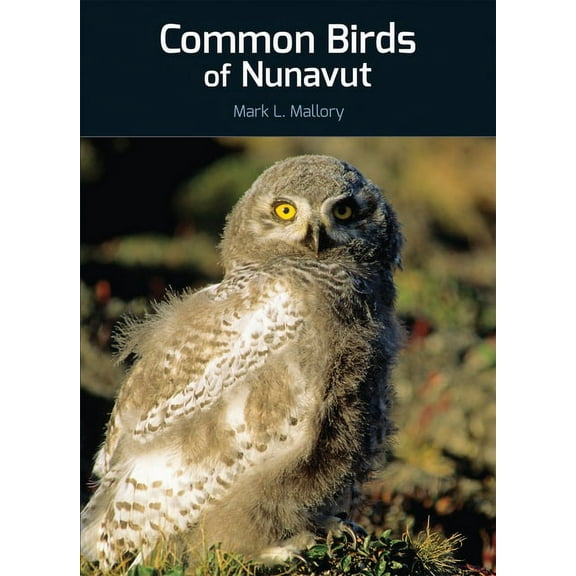 Field Guides of Nunavut Common Birds of Nunavut, Book 4, (Paperback)